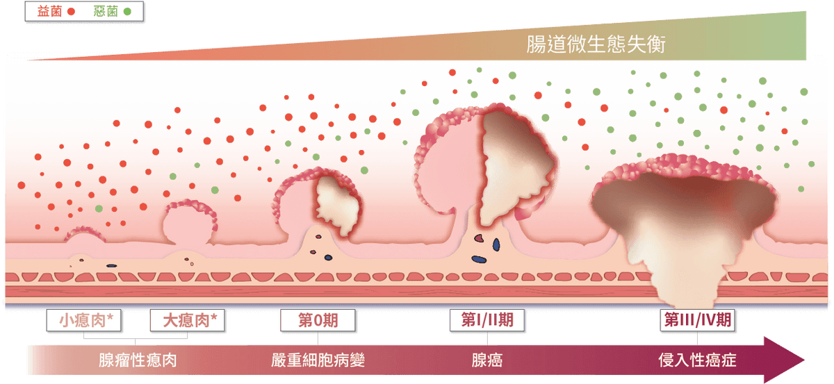 Medical diagram